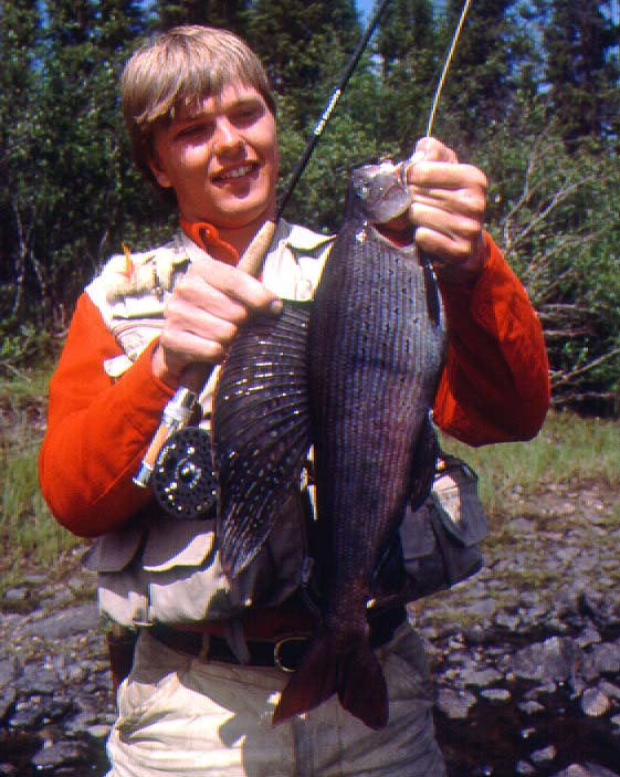 Manitoba Grayling