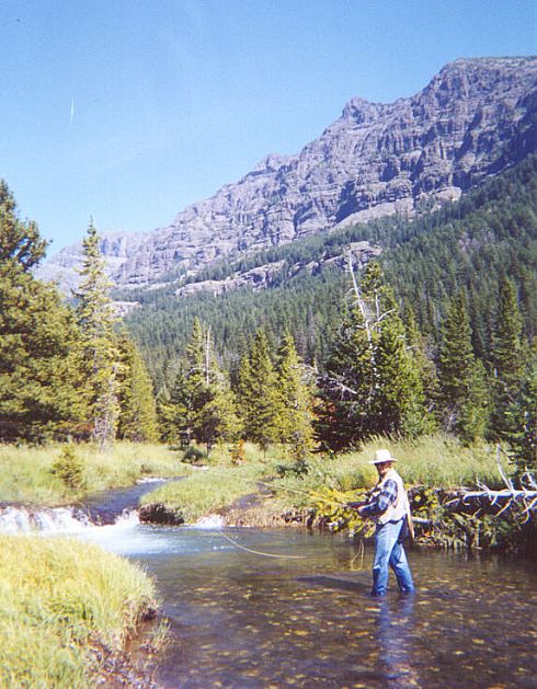 Soda Butte Creek, Yellowstone