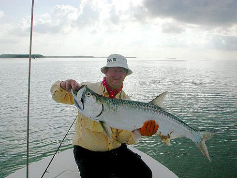 Flamingo Tarpon