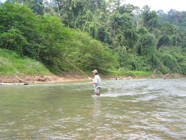 Fishing by the Jungle stream