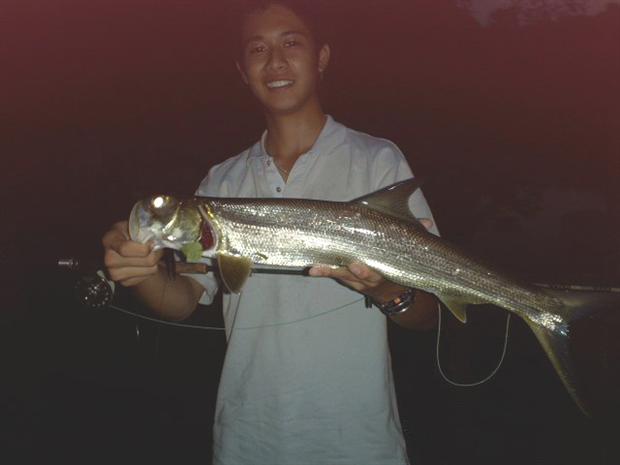 Giant Herring of the night