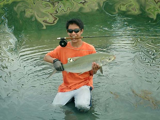 Milkfish On Fly