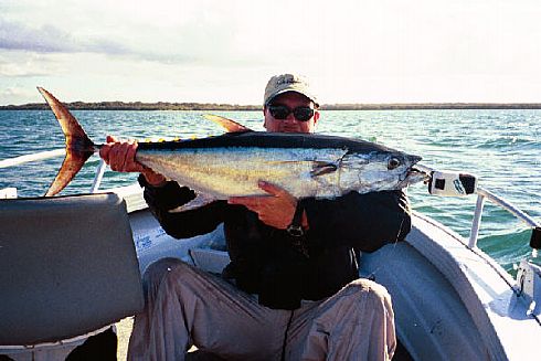 longtail tuna  on fly