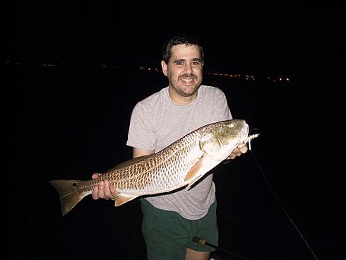 Snook with SPOTS #2 ?