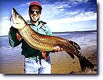 River Pike - Fly Fishing