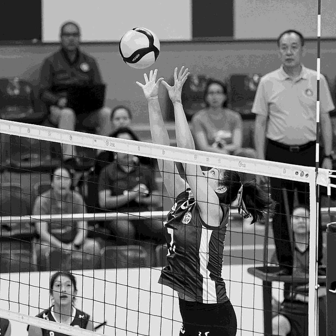 Vietnam Women's Volleyball Squad Faces Crisis Ahead of Asiad 20