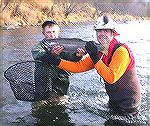 This rainbow is typical of those resident in the Zhupanova River, 
Kamchatka, Russia. Some I caught were even larger. They average from 28 to 
30 inches or even more, and 8 to 12 lbs! Catch and rele