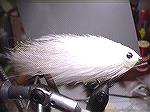 This is an all white feather Brain that has light brown grizzly hackle at the top.All White FBJohn Morin(striblue)