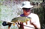 This carp was taken on a white cottonwood seed fly in 2 feet of water.  I had been trying (on and off) for two years to take carp on the fly.