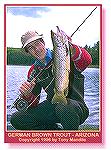 Joe Reynolds shows off a chunky brown trout caught at Christmas Tree Lake in AZ. Nice BrownTony Mandile