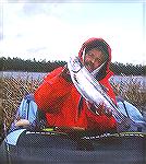 Tony Mandile shows off a chunky rainbow trout from Mexican Hay Lake in northeastern AZ. Fat RainbowTM