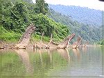 Most part of the lake is covered wif tree trunks sticking out of the lake as it used to be a jungle that was dammed up to form a lake.