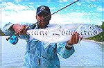 A world record class bonefish caught in New Caledonia by Claude Lombardo. See more on http://www.aps-nc.com