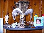 Turkey, Pheasant and Ostrich Feathers in a Bi-Centennial Mug