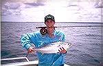 This is a mac tuna from Hervey Bay, Queensland, Australia.  Was caught on a olive over white surf candy on a 9wt rod.  Took 25mins to land and weighed about 9lbs.