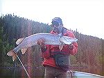 Northern Pike on fliesNorthern Pike on the flyPictures are property of Guides For Hire