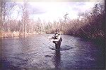 Pere Marquette River
Fall Steelhead Fly Fishing 
Manistee Natonal ForestMichigan SteelheadHal Eckert
