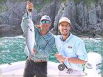 Fishing Amberjack, a small Bluefish loved my EP minnow.
 I was using a #8 Sage rodBlue Fish in BrazilRick Morais